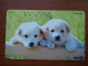 T-376 - JAPAN, Japon, Nipon, TELECARD, PHONECARD, Dog, Chien, NTT 231-184 - Hunde