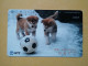 T-376 - JAPAN, Japon, Nipon, TELECARD, PHONECARD, Dog, Chien, NTT 411-242 - Chiens