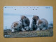 T-376 - JAPAN, Japon, Nipon, TELECARD, PHONECARD, Dog, Chien, NTT 411-259 - Hunde