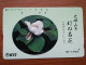 T-382 - JAPAN, Japon, Nipon, TELECARD, PHONECARD, Flower, Fleur, NTT 330-373 - Flowers