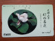 T-382 - JAPAN, Japon, Nipon, TELECARD, PHONECARD, Flower, Fleur, NTT 330-373 - Fiori