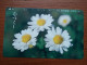 T-382 - JAPAN, Japon, Nipon, TELECARD, PHONECARD, Flower, Fleur, NTT 331-216 - Flores