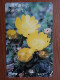 T-382 - JAPAN, Japon, Nipon, TELECARD, PHONECARD, Flower, Fleur, NTT 331-472 - Blumen