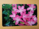 T-382 - JAPAN, Japon, Nipon, TELECARD, PHONECARD, Flower, Fleur, NTT 391-266 - Blumen