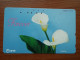 T-383 - JAPAN, Japon, Nipon, TELECARD, PHONECARD, Flower, Fleur, NTT 331-212 - Blumen