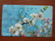 T-385 - JAPAN, Japon, Nipon, TELECARD, PHONECARD, Flower, Fleur, NTT 111-043 - Bloemen