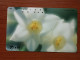 T-385 - JAPAN, Japon, Nipon, TELECARD, PHONECARD, Flower, Fleur, NTT 111-090 - Flores