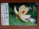 T-386 - JAPAN, Japon, Nipon, TELECARD, PHONECARD, Flower, Fleur, NTT 331-142 - Fleurs