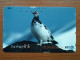 T-389 - JAPAN, Japon, Nipon, TELECARD, PHONECARD,  BIRD, OISEAU, NTT 270-234 - Sonstige & Ohne Zuordnung