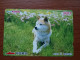 T-399 - JAPAN, Japon, Nipon, Carte Prepayee, Prepaid Card, Dog, Chien - Chiens