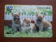 T-399 - JAPAN, Japon, Nipon, Carte Prepayee, Prepaid Card, Dog, Chien - Chiens