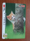 T-400 - JAPAN, Japon, Nipon, Carte Prepayee, Prepaid Card, CAT, CHAT,  - Katzen