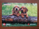 T-400 - JAPAN, Japon, Nipon, Carte Prepayee, Prepaid Card, Dog, Chien, NTT - Honden