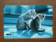 T-401 - JAPAN, Japon, Nipon, Carte Prepayee, Prepaid Card, CAT, CHAT,  - Katzen