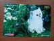 T-401 - JAPAN, Japon, Nipon, Carte Prepayee, Prepaid Card, CAT, CHAT,  - Gatos
