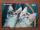 T-401 - JAPAN, Japon, Nipon, Carte Prepayee, Prepaid Card, CAT, CHAT,  - Chats