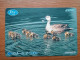 T-403 - JAPAN, Japon, Nipon, Carte Prepayee, Prepaid Card, Animal, Duck - Altri & Non Classificati