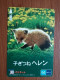 T-403 - JAPAN, Japon, Nipon, Carte Prepayee, Prepaid Card, Animal, Fox, Renard - Altri & Non Classificati