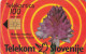 PHONE CARD SLOVENIA (E24.10.4 - Slowenien