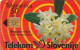 PHONE CARD SLOVENIA (E48.24.1 - Slowenien