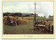 Agriculture. LE BATTAGE.  Marchais-Beton.  Steam Engine. Machine à Vapeur.  - Tractors