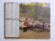 CALENDRIER 1979 ALMANACH DES POSTES TELEGRAPHES TELEPHONES PTT  Berger Et Troupeau Moutons Charrue Cheval Agriculture - Tamaño Grande : 1971-80