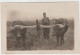 7368 Carte Photo ALBANIE POGRADEC Charrue Albanaise Attelage Bovin Albanais LABOUREUR MACEDONIEN ARMEE D'ORIENT WW1 - Albanie