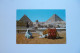 GIZA  -  Pyramids  - Sphinx    -  EGYPTE -  EGYPT - Gizeh