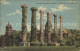 11693052 Columbia_Missouri Historic Columns University Of Missouri - Autres & Non Classés