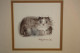 C313 Judy Rossouw - Aquarelle Sous Cadre - Le Chat - Aquarelles