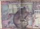 19. The Bear's Toothache David McPhail Andre Deutsch 1975 Hardback Retirment Sale Price Slashed! - Fairy Tales & Fantasy