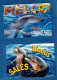 ANIMAUX :  DAUPHINS - Lot 6 Cartes Postales - - Dolfijnen