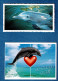 ANIMAUX :  DAUPHINS - Lot 6 Cartes Postales - - Dolfijnen