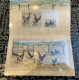 1-1-2024 (4 W 5) Australia Stamp Pack - Poultry Breeds (3 Stamps + 1 Mini Sheet) Chicken - Presentation Packs