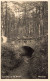 Nunspeet Tunneltje In Het Bosch K6667 - Nunspeet