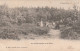 3 Oude Postkaarten Calmpthout Kalmthout Boterbergen 1903 Villa Belgrano1902 Heide 1902    Hoelen - Kalmthout