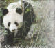 2012 United Nation - Presentation Pack: Endangered Species - Sammlungen (im Alben)