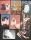 USSR. 1982 - 1991. Cat. Chat - Petit Format : 1981-90