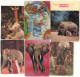 USSR. 1977 - 1983. Elephant, éléphant. Circus, Zoo - Petit Format : 1981-90