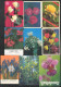 USSR. Singapour. 1978 - 1990. Flower. Fleur - Petit Format : 1981-90