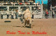 73243357 Nebraska_US-State Rodeo Time - Andere & Zonder Classificatie