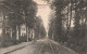 BELGIQUE - Péruwelz - La Drève - Rails - Carte Postale Ancienne - Péruwelz