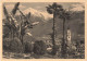 ITALIE - Mérano - Vue Générale - Carte Postale Ancienne - Merano