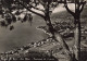 ITALIE - San Remo - Rivière Des Fleurs - Panorama Du Levant - Carte Postale Ancienne - San Remo