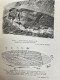 Delcampe - Bulletin De La Société Entomologique De France: 1914. KOMPLETT. - Nature