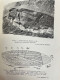 Delcampe - Bulletin De La Société Entomologique De France: 1914. KOMPLETT. - Natuur