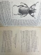 Delcampe - Bulletin De La Société Entomologique De France: 1914. KOMPLETT. - Natuur