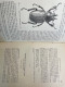 Delcampe - Bulletin De La Société Entomologique De France: 1914. KOMPLETT. - Nature