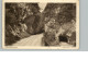 AK - Nasswald N. Oe. - Saurüsselbrücke - 1926 - 9x 14cm - #AK1140# - Neunkirchen