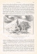 610-2 Max Ebeling Ararat Anatolien Armenien Türkei Artikel Von 1899 !! - Other & Unclassified